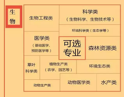 根据特长选专业，高中各门课程对应大学专业实用盘点