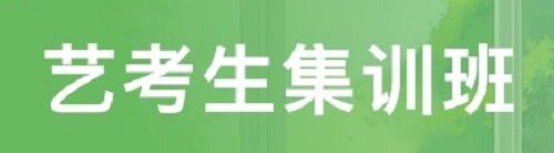 郑州艺考文化课集训班，助你圆梦大学！