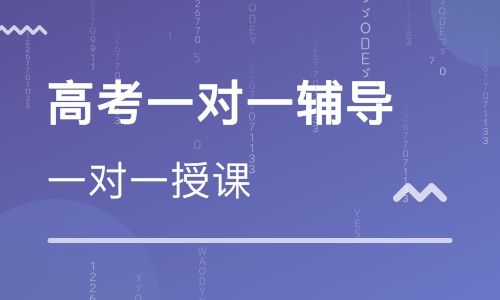 河南高考一对一辅导收费标准