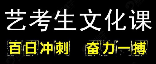 郑州艺术生文化课百日冲刺哪好？选择高考培训机构怎么做？