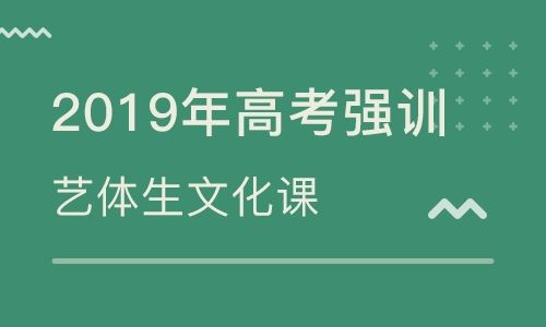 河南艺术生文化课培训学校排名