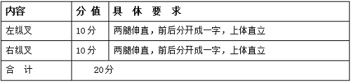 2022年安徽省艺术统考模块三（体育舞蹈等专业）考试说明