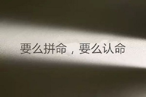 开封高三艺术生文化课集训学校​