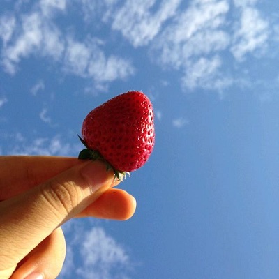 荥阳高考全托封闭补习学校一年学费多少钱