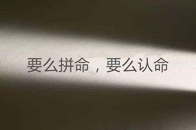 洛阳高三生培训机构一年学费